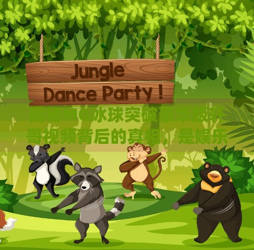揭秘MG冰球突破豪华版轩哥视频背后的真相，是娱乐还是陷阱？mg冰球突破豪华版轩哥视频